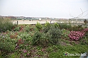 VBS_9646 - Parco Pensile Lingotto